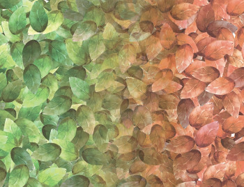 Vlies-Fototapete 5005 Garden Blätter, 340 x 260cm, My Dream, Vavex