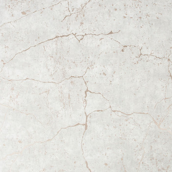 Strukturierte marmorierte Tapete 104870, Vavex 2024