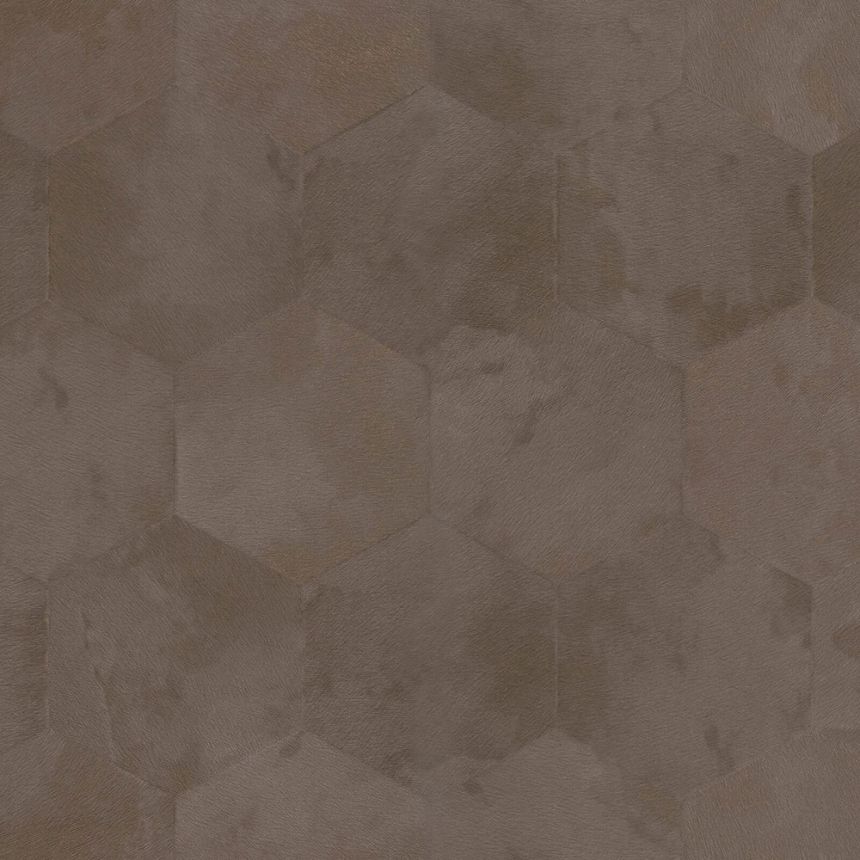 Graubraune Tapete mit geometrischen Mustern Z80009 Philipp Plein, Zambaiti Parati