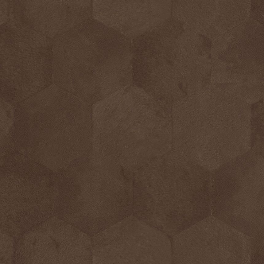 Braune Tapete mit geometrischen Mustern Z80008 Philipp Plein, Zambaiti Parati